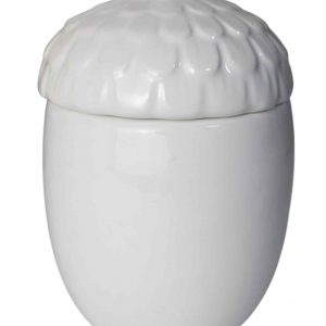 Brûleur Gland Blanc